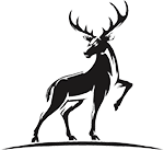 ادوپرفیوم های شرکت الحمبرا